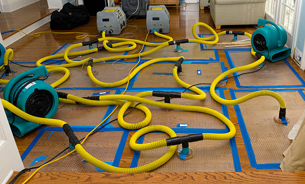 Professional Basement Flood Cleanup technician working in Amanda, OH